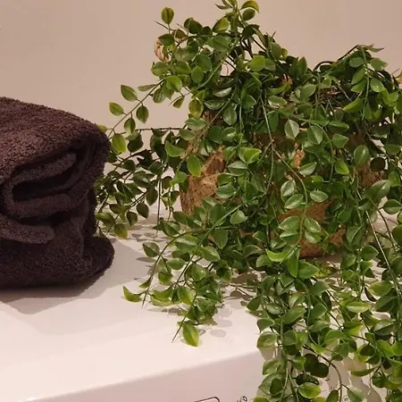 Et A 2 Pas De La Cite * 카르카손